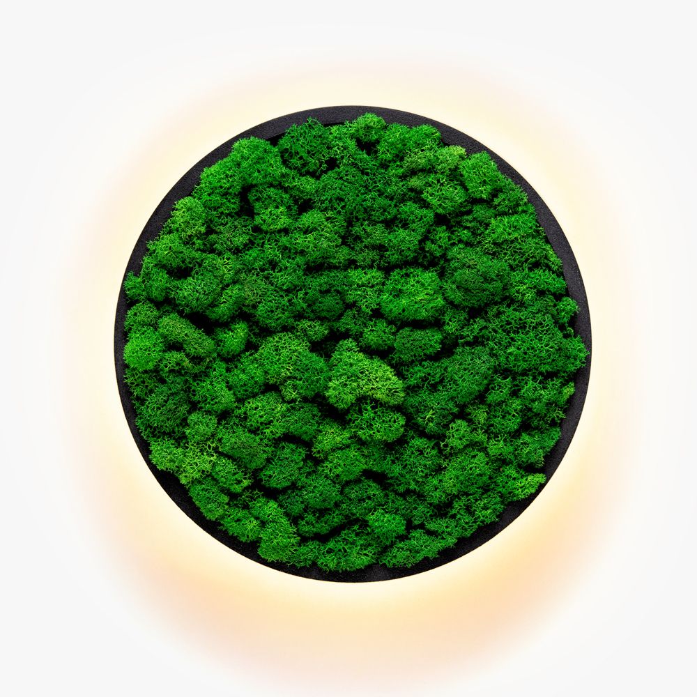 Kinkiety Jace Reindeer Moss Imperium Light czarny / nature