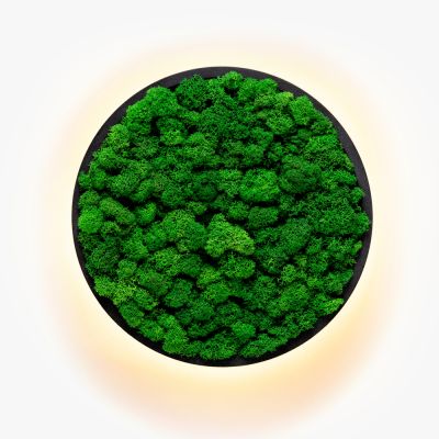 Kinkiety Jace Reindeer Moss Imperium Light czarny / nature