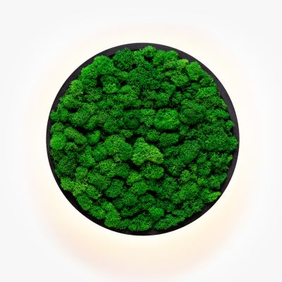 Kinkiety Jace Reindeer Moss Imperium Light czarny / nature