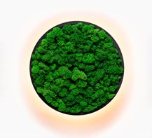 Kinkiety Jace Reindeer Moss Imperium Light czarny / nature
