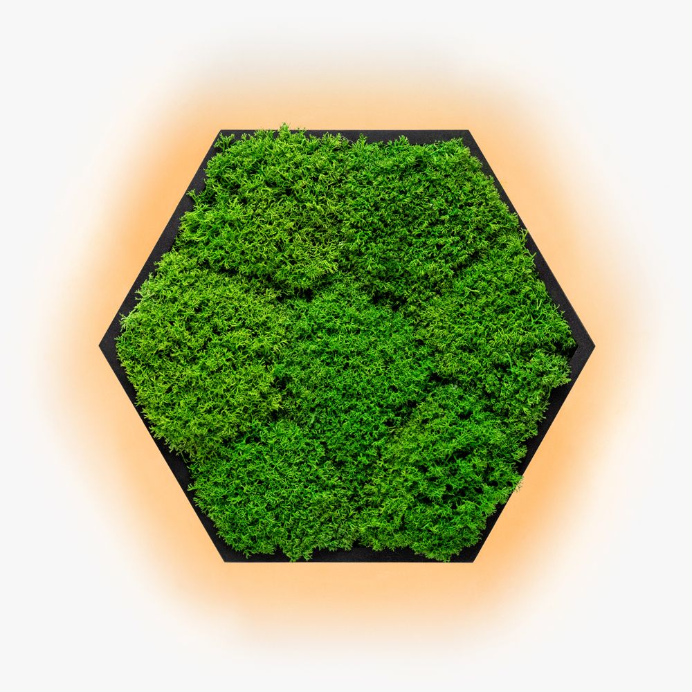 Kinkiety Felizeli Flat Moss Imperium Light czarny/ nature