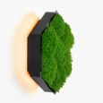 Kinkiety Felizeli Flat Moss