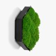 Kinkiety Felizeli Flat Moss