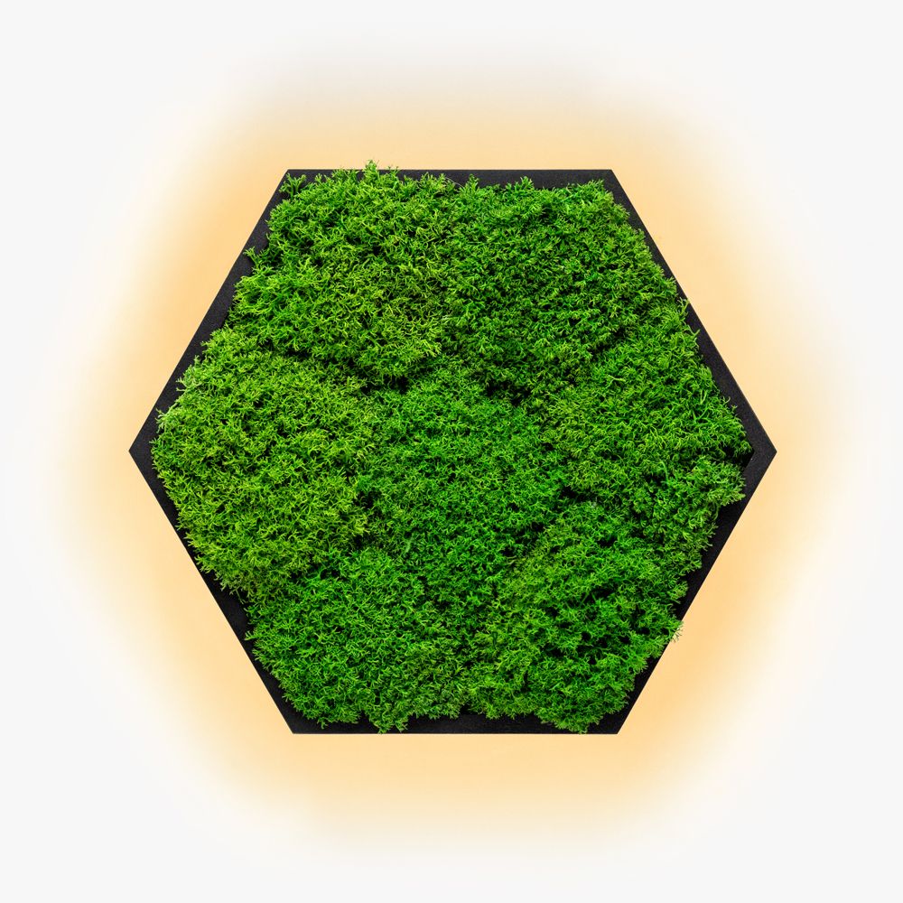Бра Felizeli Flat Moss Imperium Light чёрный / nature