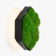 Wall Sconce Felizeli Flat Moss