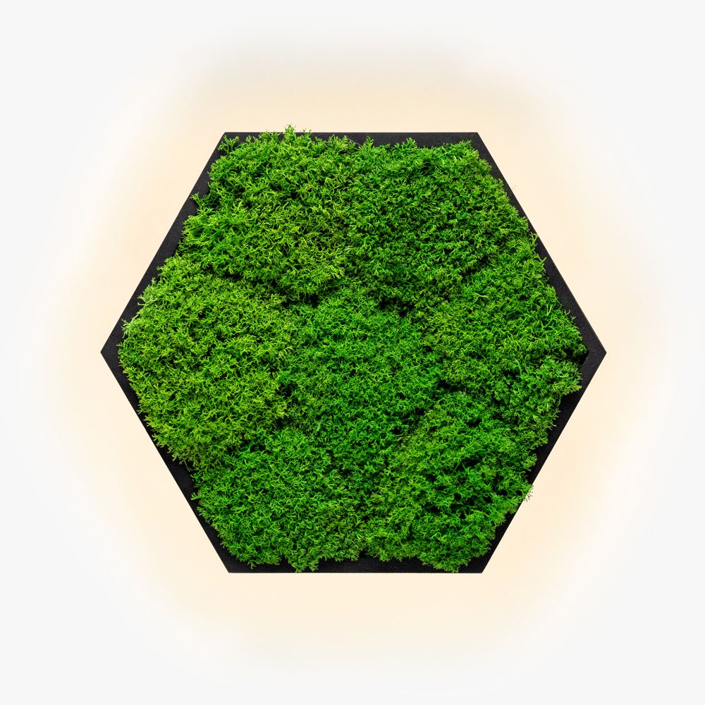 Бра Felizeli Flat Moss Imperium Light чёрный / nature