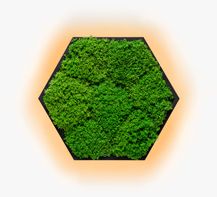 Kinkiety Felizeli Flat Moss Imperium Light czarny/ nature