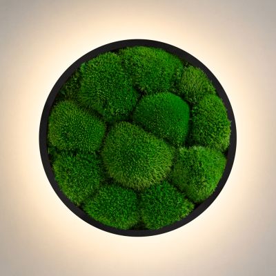 Wall Sconce Jace Bun Moss Imperium Light black / nature
