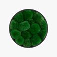 Wall Sconce Jace Bun Moss
