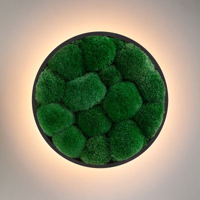 Wall Sconce Jace Bun Moss Imperium Light black / forest