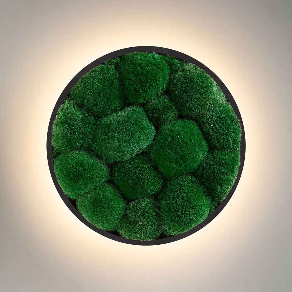 Wall Sconce Jace Bun Moss Imperium Light black / forest