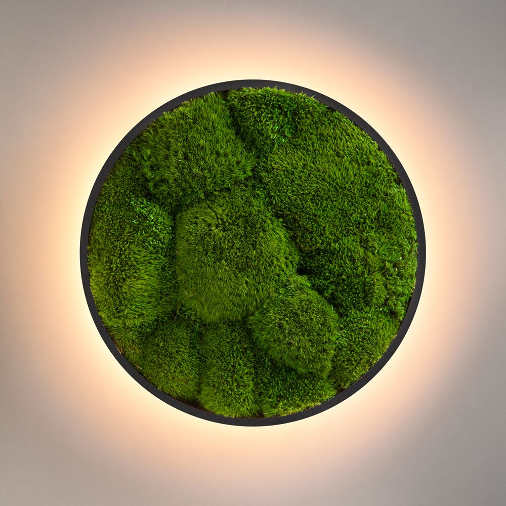 Wall Sconce Jace Bun Moss Imperium Light black / lime