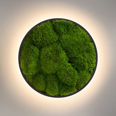 Wall Sconce Jace Bun Moss Imperium Light black / lime