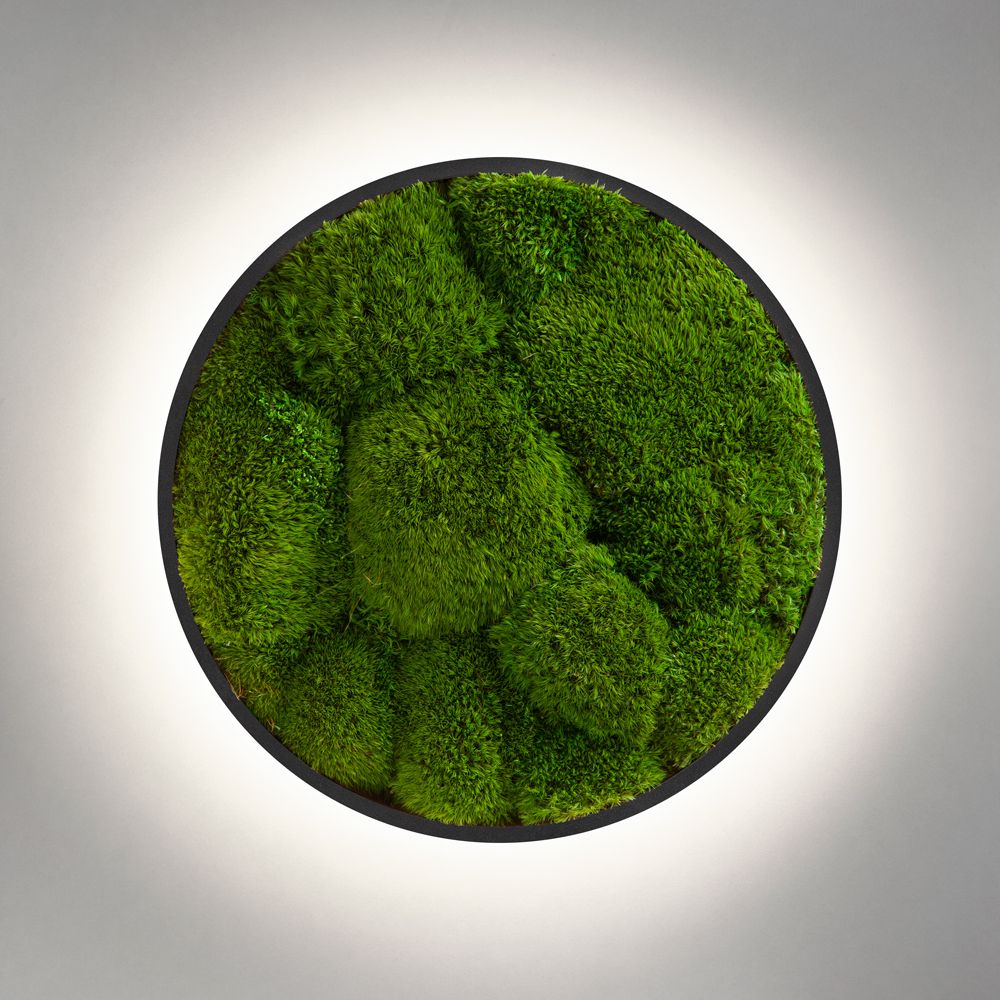 Wall Sconce Jace Bun Moss Imperium Light black / lime