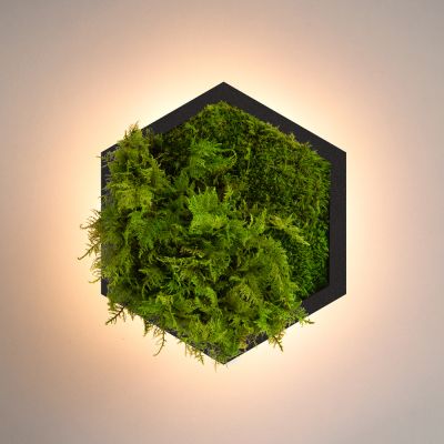 Бра Felizeli Fern Imperium Light чёрный / lime