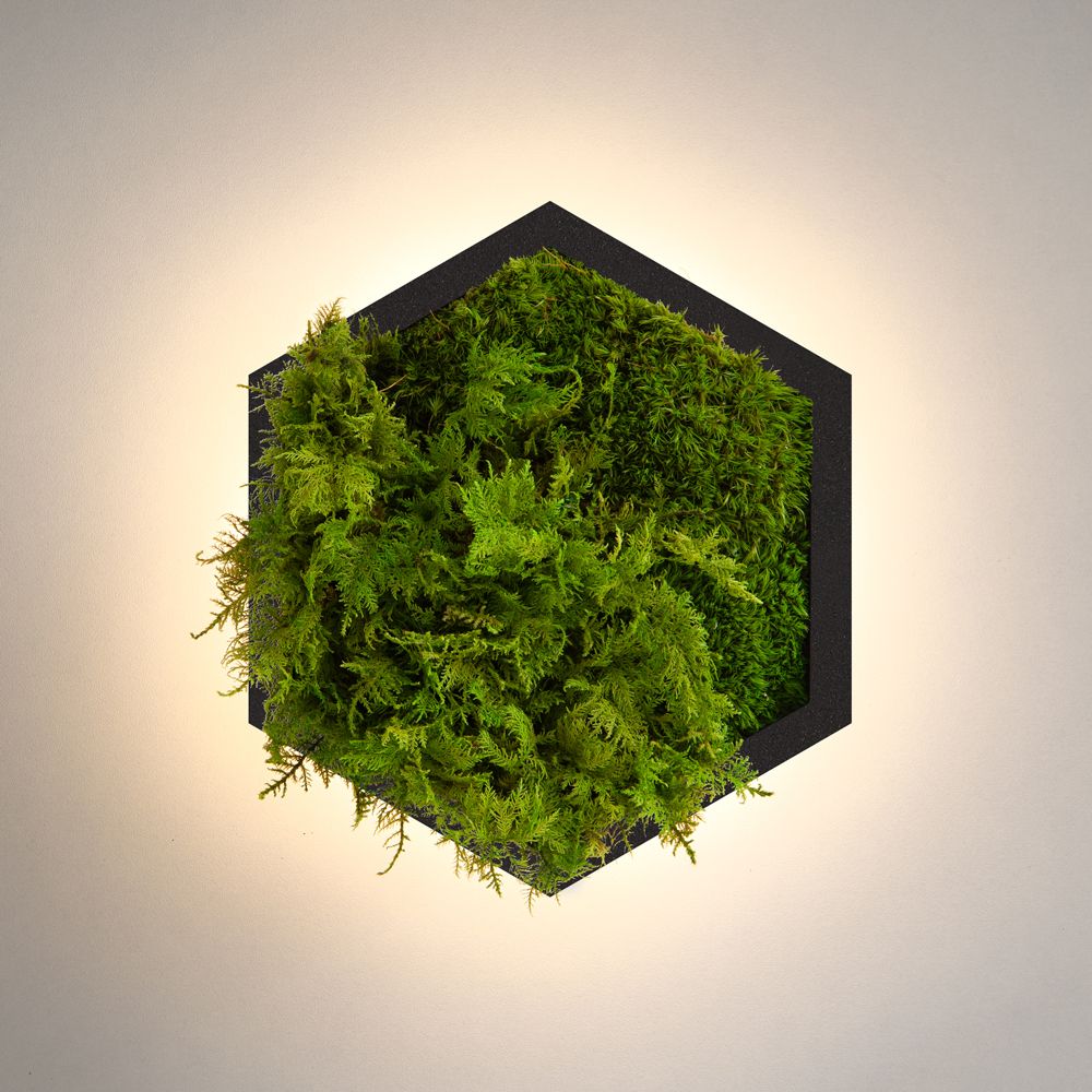 Бра Felizeli Fern Imperium Light чёрный / lime