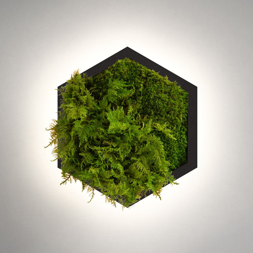 Бра Felizeli Fern Imperium Light чёрный / lime