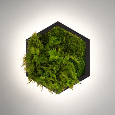 Бра Felizeli Fern Imperium Light чёрный / lime