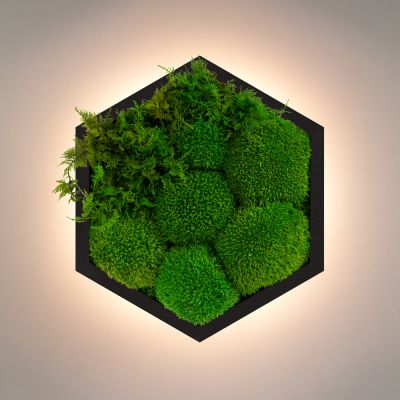 Бра Felizeli Fern Imperium Light чёрный / nature
