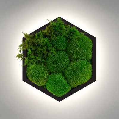 Бра Felizeli Fern Imperium Light чёрный / nature